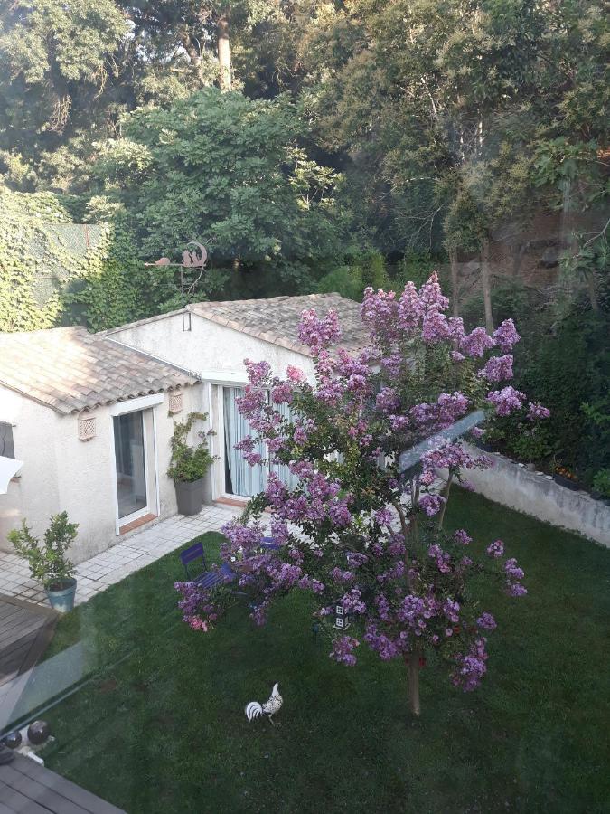 Bed and Breakfast Dans UN JARDIN BB et JACUZZI Mandelieu Exterior foto
